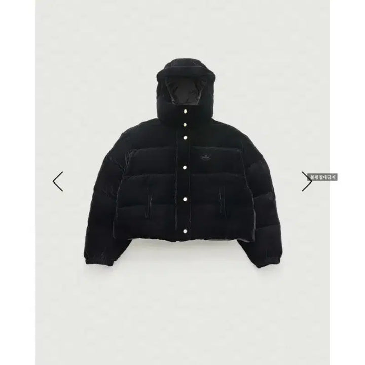 [BUNJANG] The Barnet Velvet Padded Jacket / 더바넷 벨벳패딩