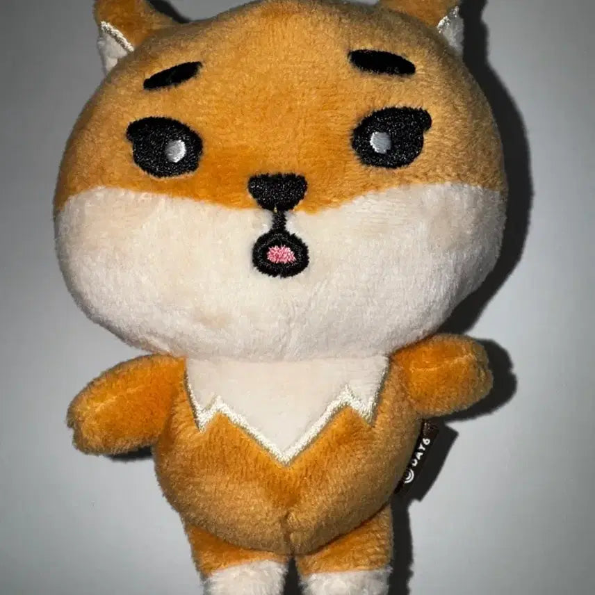 [BUNJANG] Enhypen Demonimals 22K Plush / 데니멀즈 22케 양도