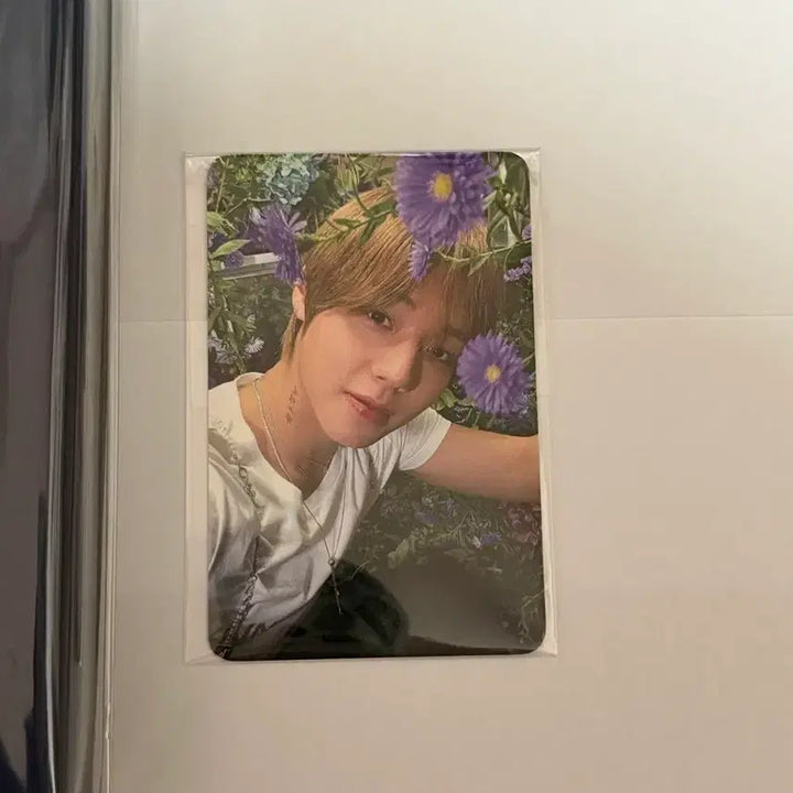 [BUNJANG] Park Jihoon HOT&amp;COLD Sealed Signed Album &amp; POB Photocard / 박지훈 HOT&amp;COLD 미개봉 친필 싸인 앨범&amp;특전 포토카드 포카 판매