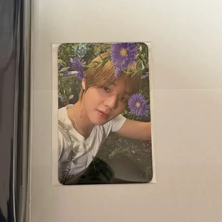 [BUNJANG] Park Jihoon HOT&amp;COLD Sealed Signed Album &amp; POB Photocard / 박지훈 HOT&amp;COLD 미개봉 친필 싸인 앨범&amp;특전 포토카드 포카 판매