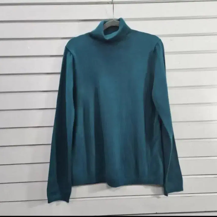 [BUNJANG] Chungrok Women's Turtleneck Knit Top / 청록 여성 목폴라 니트티77/보물찾기천사