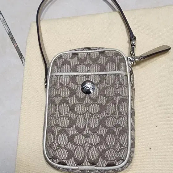 [BUNJANG] Coach Mini Pouch Bag / 코치 미니 파우치백/ 페이즐리 라지 가방