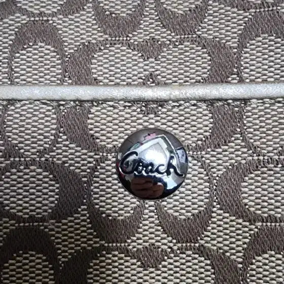 [BUNJANG] Coach Mini Pouch Bag / 코치 미니 파우치백/ 페이즐리 라지 가방