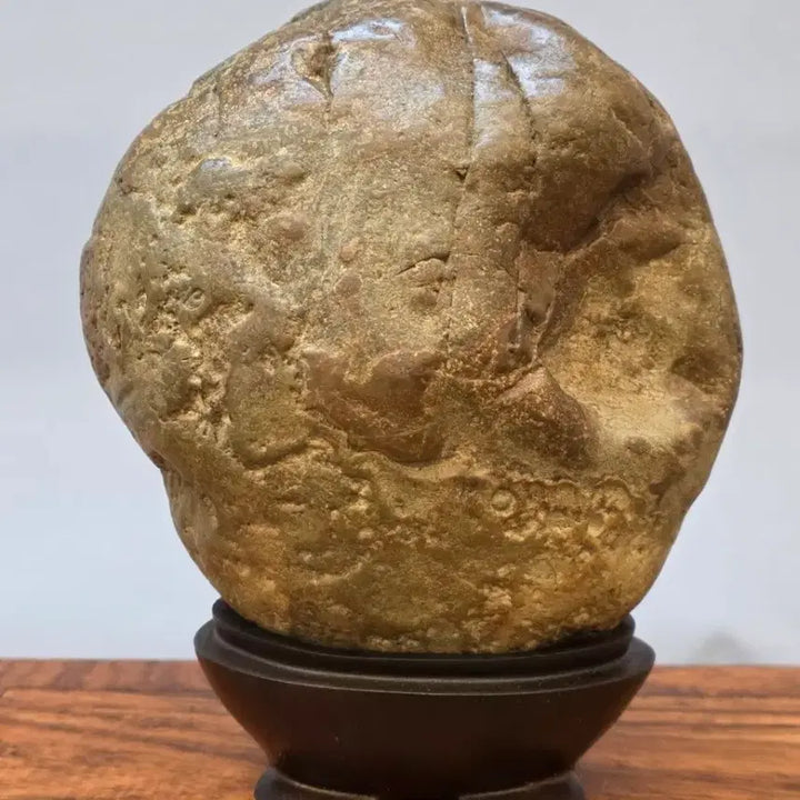 [BUNJANG] Namhae Antique Stone / 26022723 변화가 좋은 남해 골동석 수석 팝니다