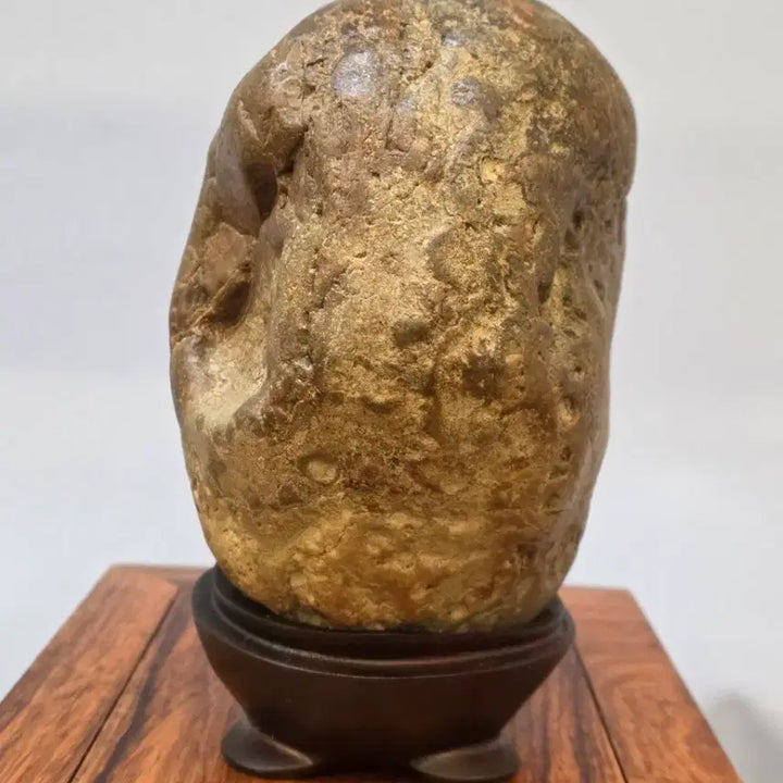 [BUNJANG] Namhae Antique Stone / 26022723 변화가 좋은 남해 골동석 수석 팝니다