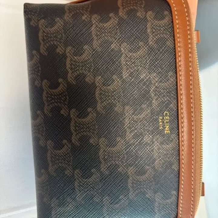 [BUNJANG] Celine Triomphe Chain Clutch / 셀린느 트리옹프 체인클러치