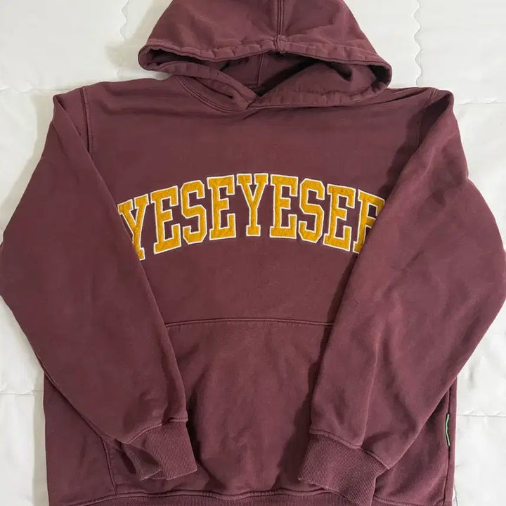 [SOLD OUT] Yeseyesee 후드티