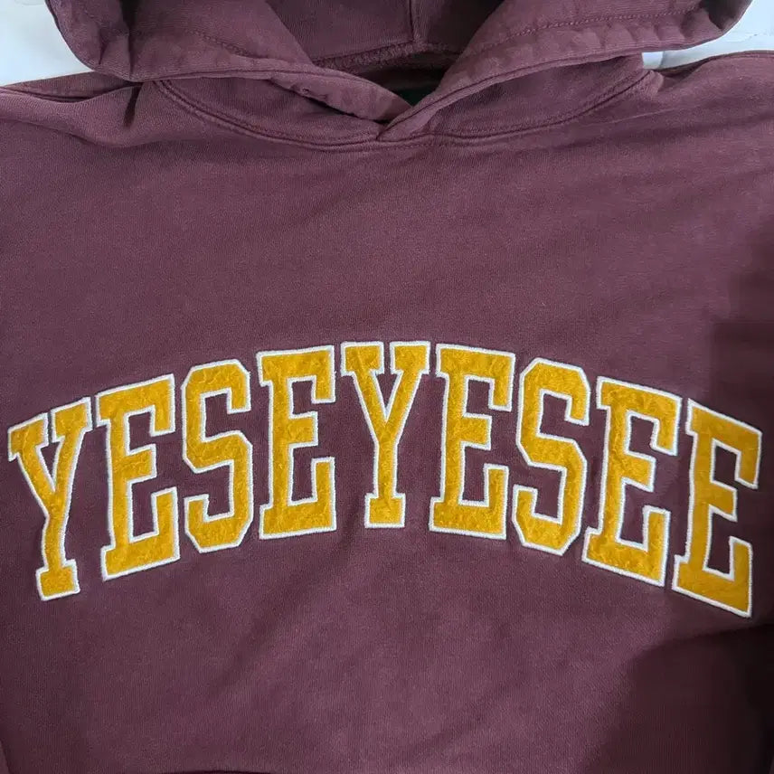 [SOLD OUT] Yeseyesee 후드티