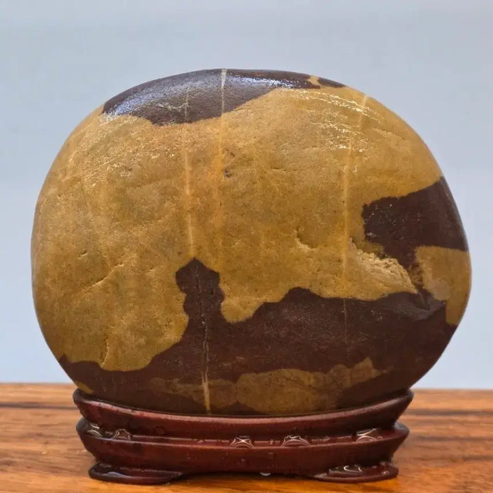 [BUNJANG] Chinese Sichuan Stone with Clear Patterns / 26022726 앞뒤 문양이 선명한 중국 사천 문양석 수석 팝니다