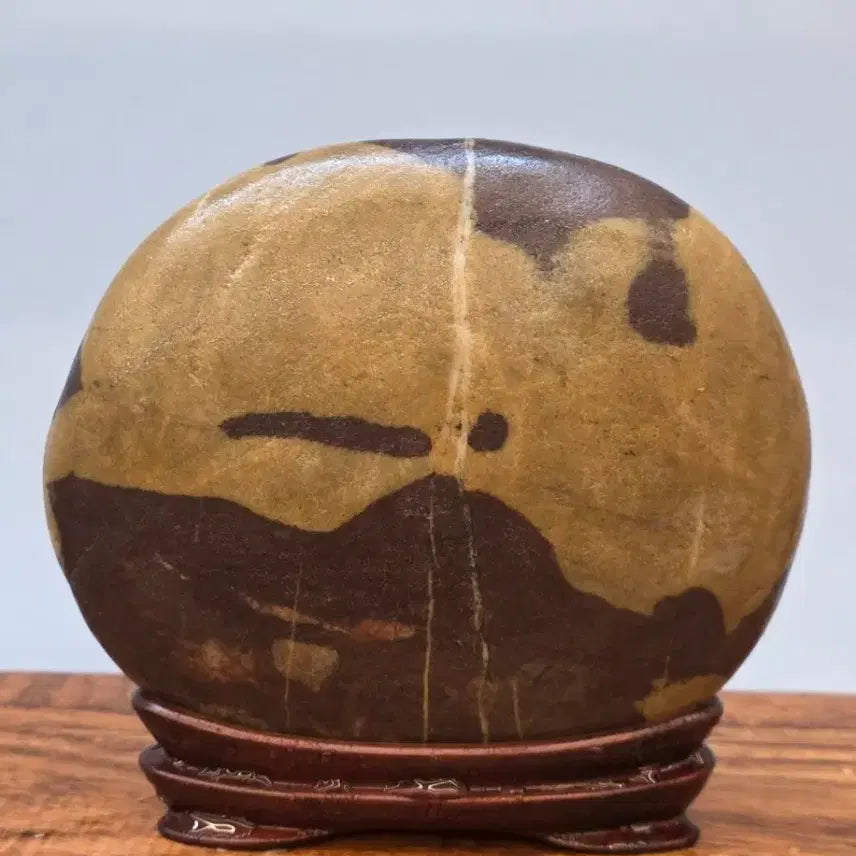 [BUNJANG] Chinese Sichuan Stone with Clear Patterns / 26022726 앞뒤 문양이 선명한 중국 사천 문양석 수석 팝니다