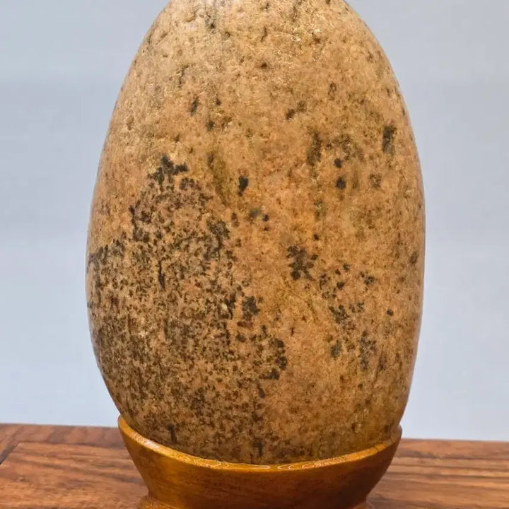 [BUNJANG] Namhangang River Stone / 26022728 꽃이 잘핀 남한강 수석 팝니다