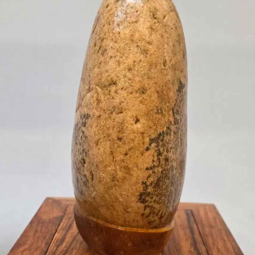 [BUNJANG] Namhangang River Stone / 26022728 꽃이 잘핀 남한강 수석 팝니다