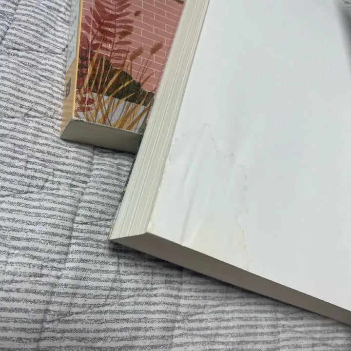 [BUNJANG] Shin Hyun-geol IFRS Intermediate Accounting Textbook Set / 경영대학전공서) IFRS 중급회계 상하 10판 신현걸