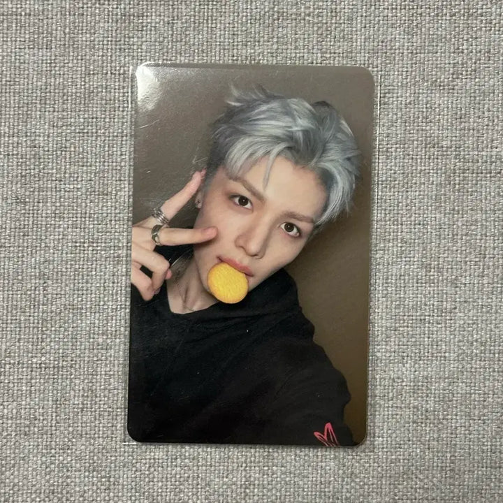 [BUNJANG] &TEAM Maki Back to Life Withmu POB Photocard / 앤팀 마키 백투라이프 위드뮤 럭키드로우 럭드 미공포 포카 양도