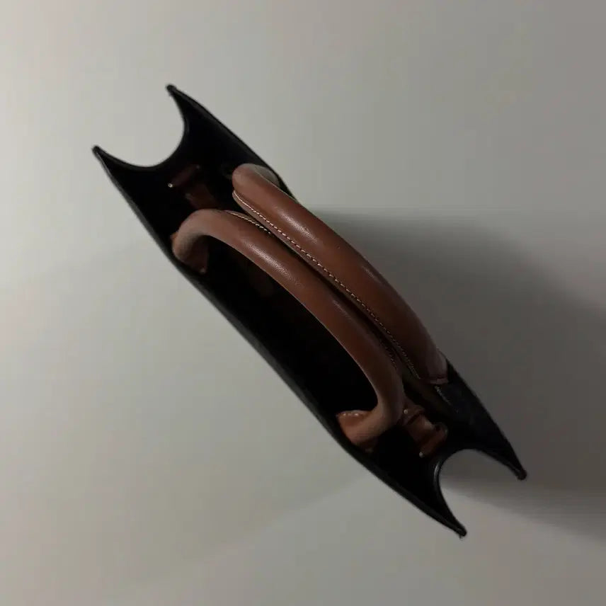 [BUNJANG] Celine Triomphe Cabas Tote Bag / [백화점판/당일출고]셀린느 트리오페 카바스백 / 토트백