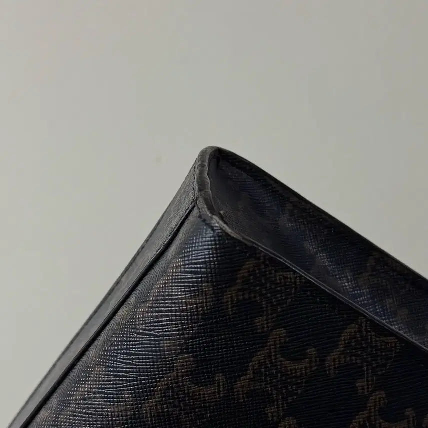 [BUNJANG] Celine Triomphe Cabas Tote Bag / [백화점판/당일출고]셀린느 트리오페 카바스백 / 토트백