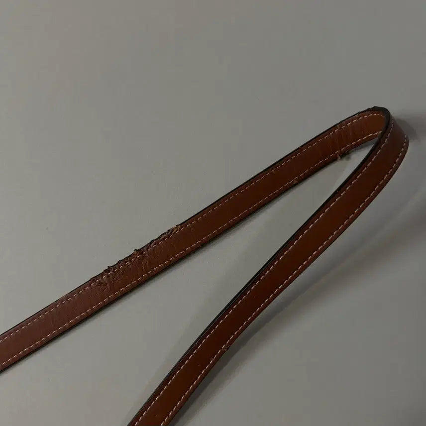 [BUNJANG] Celine Triomphe Cabas Tote Bag / [백화점판/당일출고]셀린느 트리오페 카바스백 / 토트백