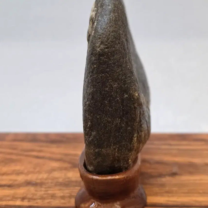 [BUNJANG] Namhangang River Stone / 260227 양각 문양이 선명한 남한강 문양석 수석 팝니다