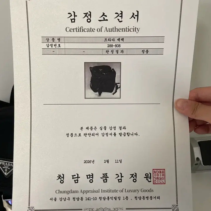 [BUNJANG] Prada Medium Backpack 1BZ005 / 프라다 백팩 미디움 사이즈 1bz005 (아울렛버전)