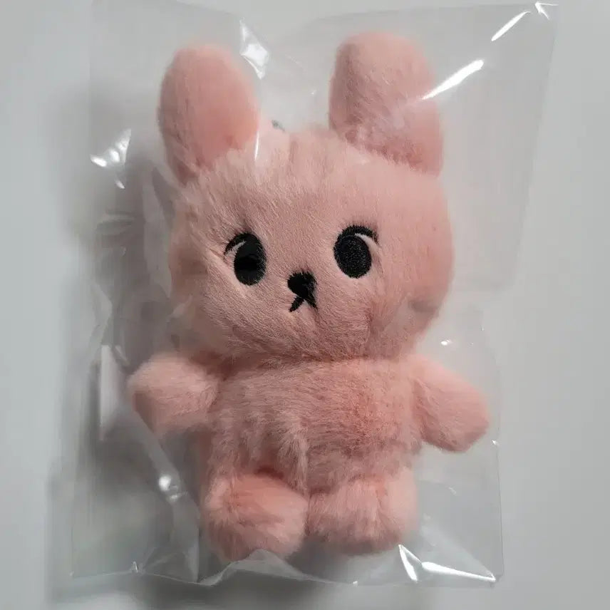 [BUNJANG] Bio-Dence Doyoung Bunny Doll Keyring / 새상품) 바이오던스 nct 도영 토끼 버니 인형 키링