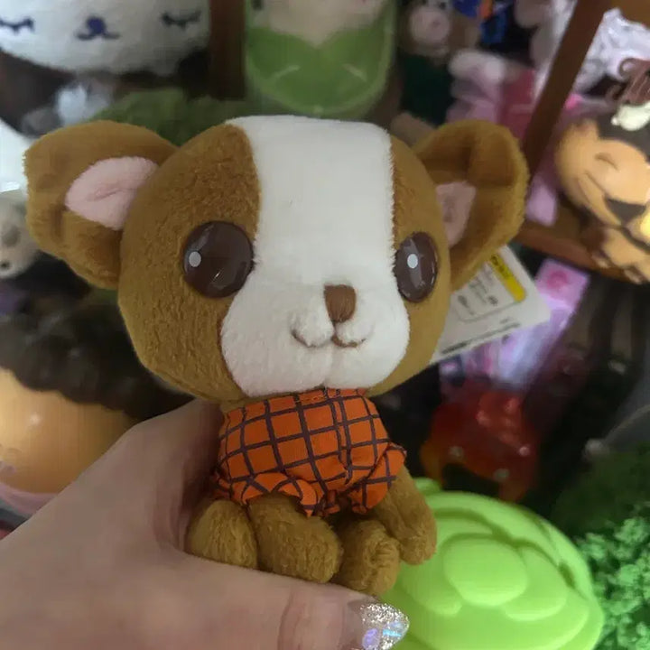 [BUNJANG] San-X Chiwawanko Chihuahua Plush Toy / 