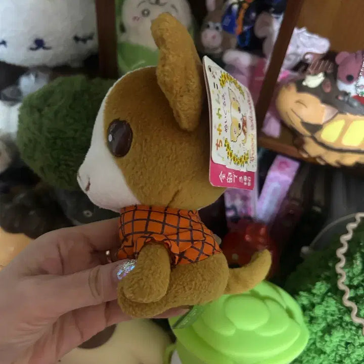 [BUNJANG] San-X Chiwawanko Chihuahua Plush Toy / 