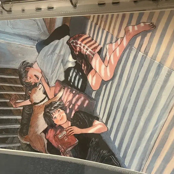 [BUNJANG] NOMA Illustration Postcard and Poster Bundle / 노마 NOMA 일러스트 엽서 포스터 일괄