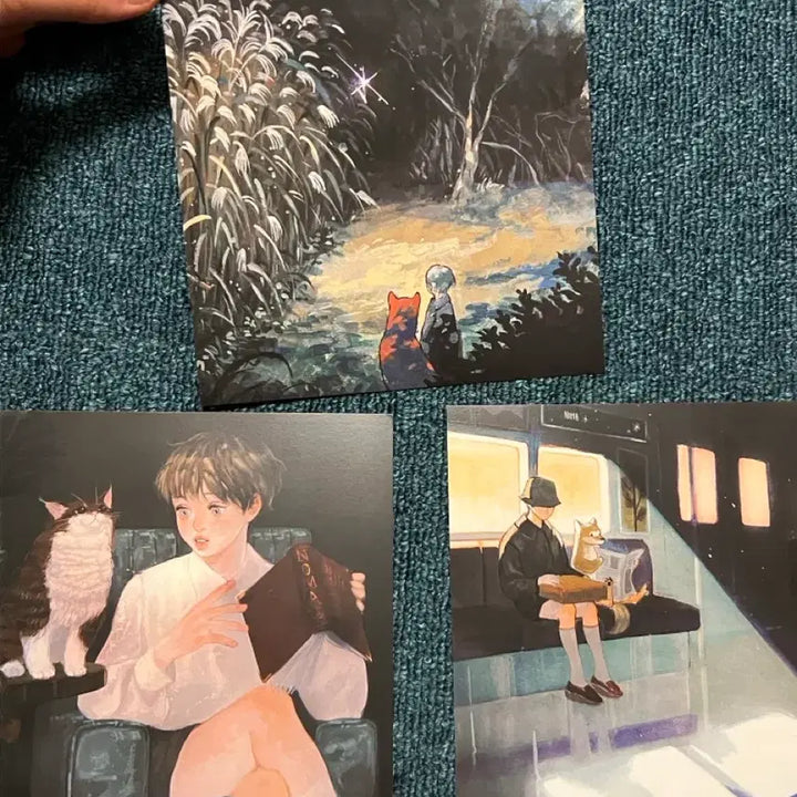 [BUNJANG] NOMA Illustration Postcard and Poster Bundle / 노마 NOMA 일러스트 엽서 포스터 일괄