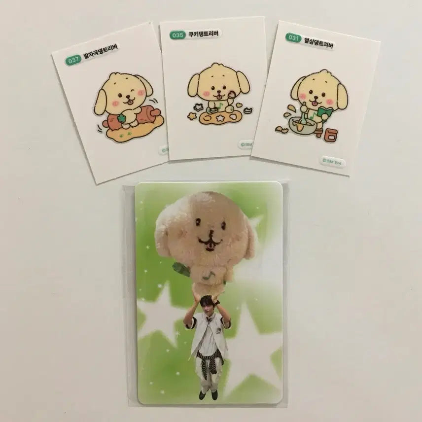 [BUNJANG] Weishe Bakerie Jaehee Photocard + DDU-BB-SSIL / 컬러 팝업 재희 입장포카+위시 베이커리 댕트리버 띠부씰