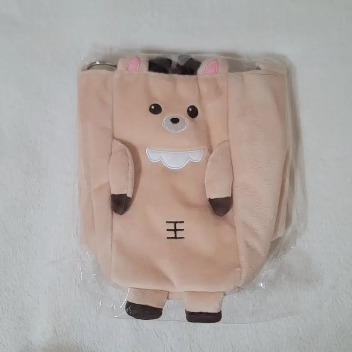 [BUNJANG] RIIZE Sungchan Fanlight Bag / 라이즈 도쿄돔MD 팬라이트백 성찬 우락밤 응원봉가방파우치