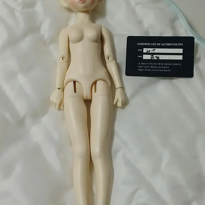 [BUNJANG] BaniBani Pudding Doll 35cm / 바니바니 푸딩 35cm