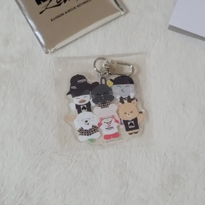 [BUNJANG] RIIZE Tokyo Dome Acrylic Keyholder Set / 라이즈 도쿄돔 랜덤아크릴키홀더 단체(쇼타로은석성찬원빈소희앤톤똘병이토냥덕.