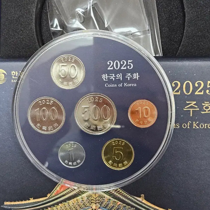 [SOLD OUT] 2025년민트주화