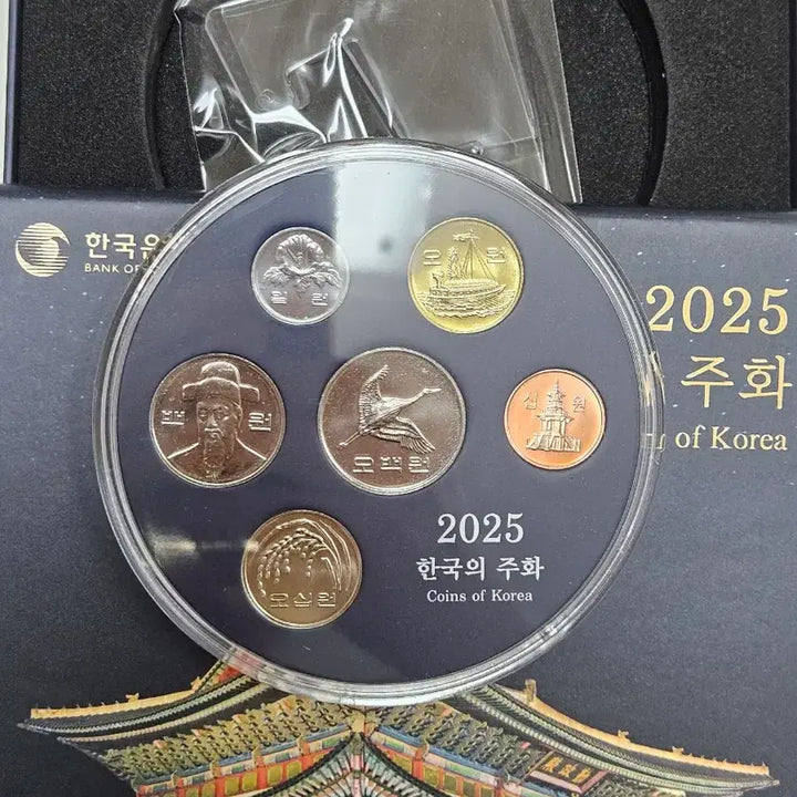 [SOLD OUT] 2025년민트주화