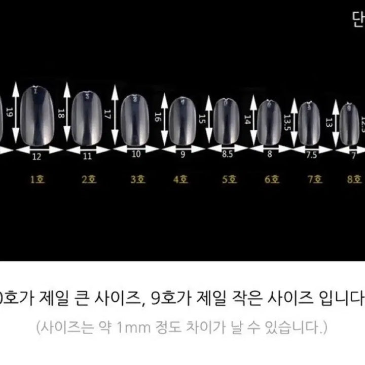 [BUNJANG] Handmade Butterfly Magnet Gel Nail Tips / 자석젤 나비 수제네일팁