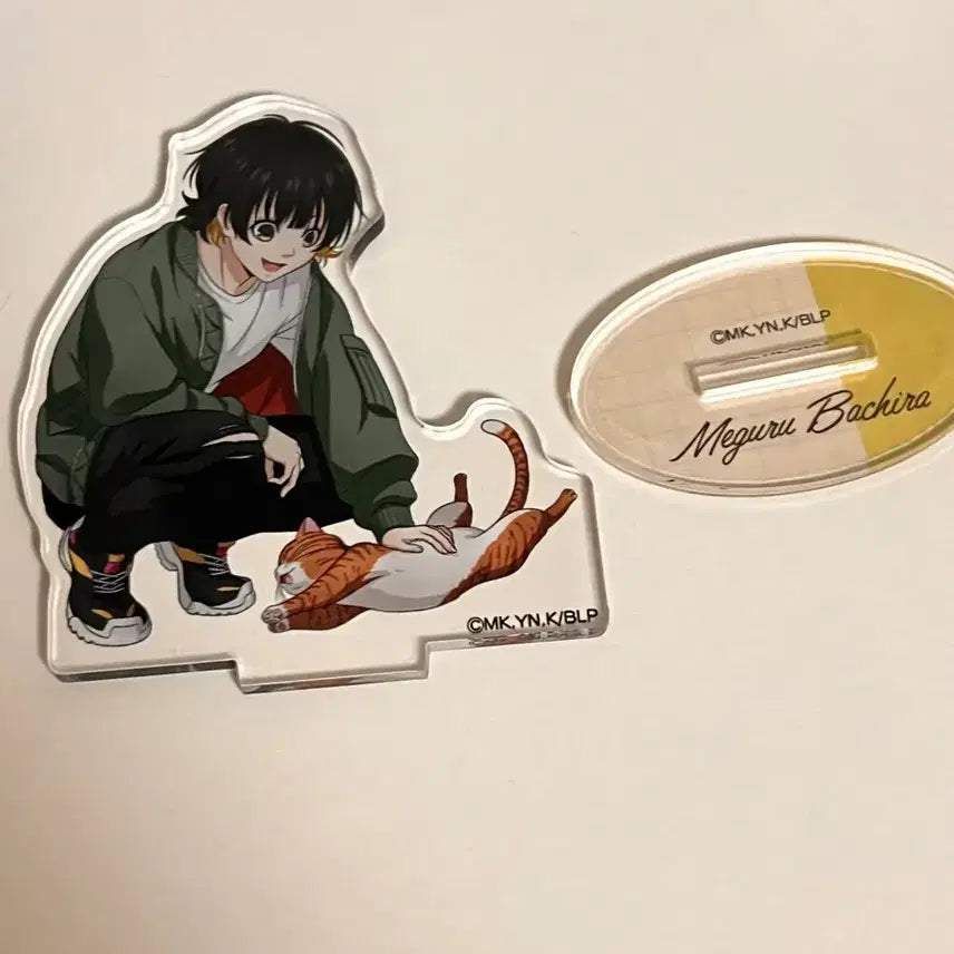 [BUNJANG] Baccira Acrylic / 바치라 아크릴