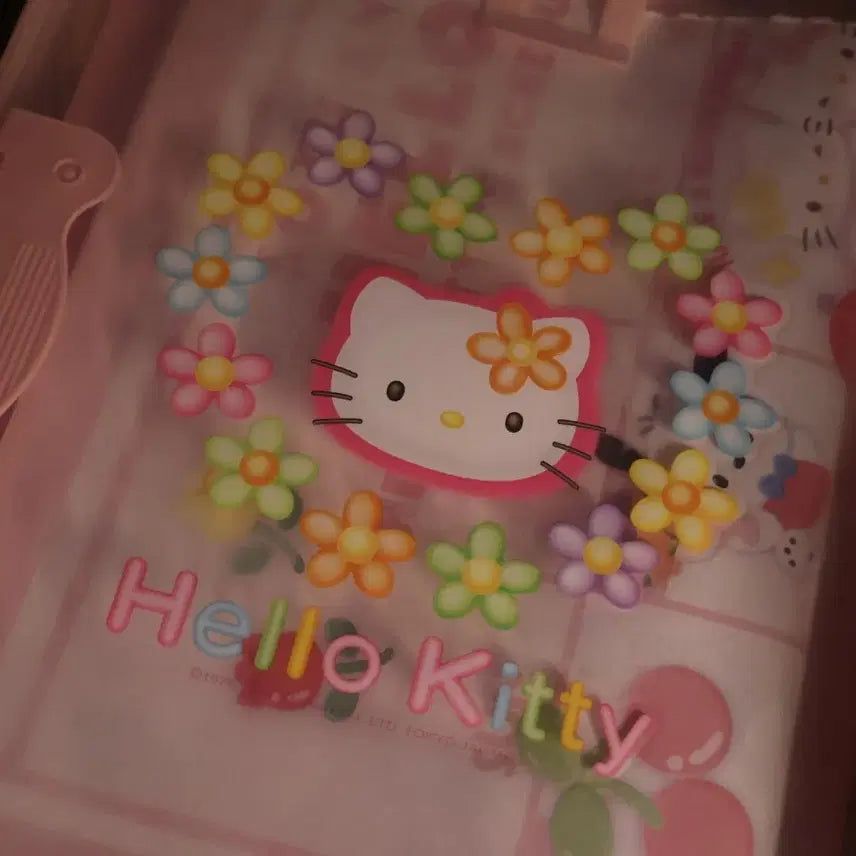 [BUNJANG] Vintage Hello Kitty Storage Box / 고전 키티 보관함 키티 수납함 카오하나