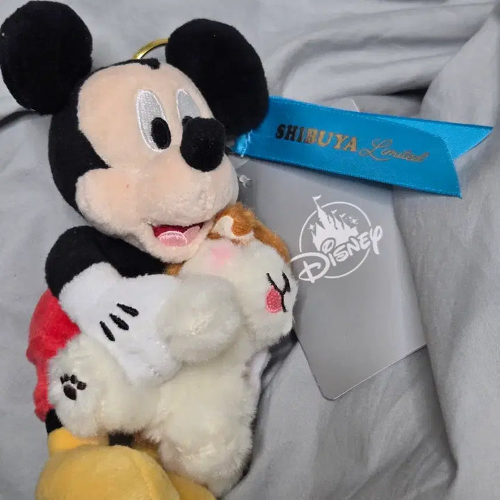 [BUNJANG] Disney Mickey Mouse Hachiko Shibuya Limited Edition Keyring Plush / 미개봉 새상품 ) 디즈니 하치코 미키마우스 시부야 한정 인형 키링