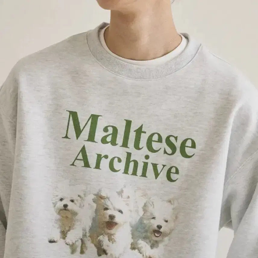 [BUNJANG] YK Maltese Archive Sweatshirt Melange White / 말티즈 아카이브 맨투맨 멜란지화이트(와이케이)
