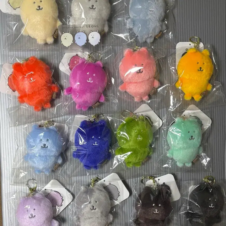 [BUNJANG] Nagano Market Pop-up Color Bear Nongdam Bear Bundle Set / 나가노마켓 성수 팝업 컬러곰 농담곰 일괄 판매 양도