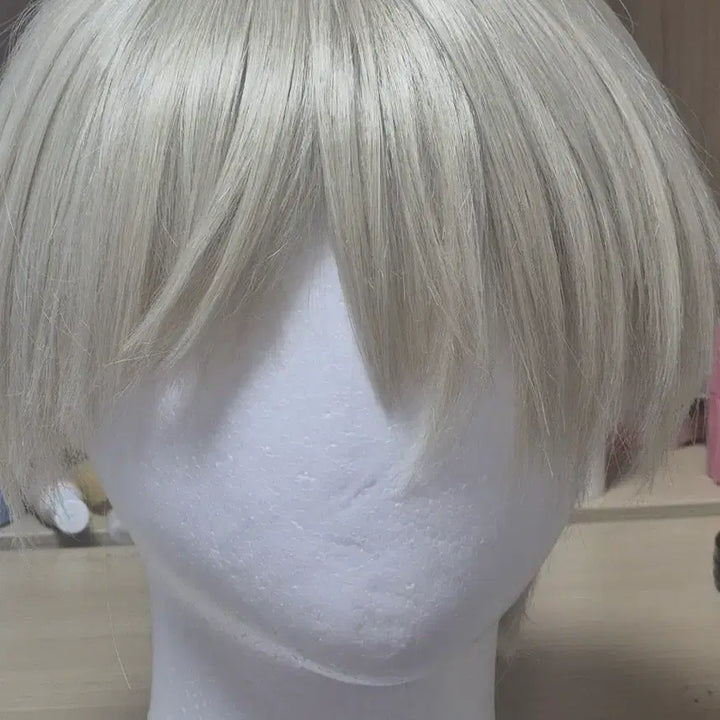 [BUNJANG] Wind Breaker Kaji Cosplay Costume / 윈드브레이커 카지코스프레