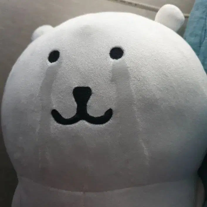 [BUNJANG] OUT Item / OUT