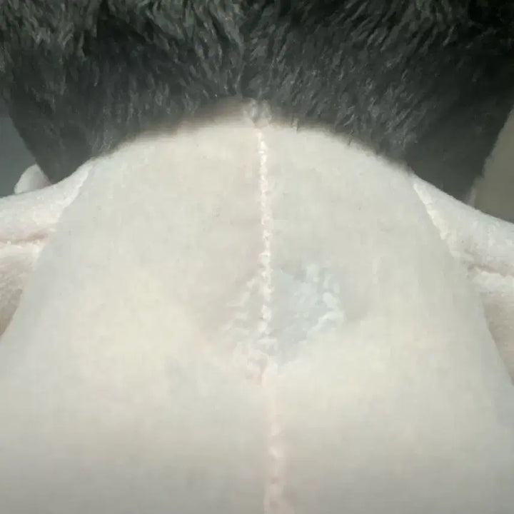 [BUNJANG] Hyung Tail Plush / 앙청려 솜인형  꼬리 잘있음