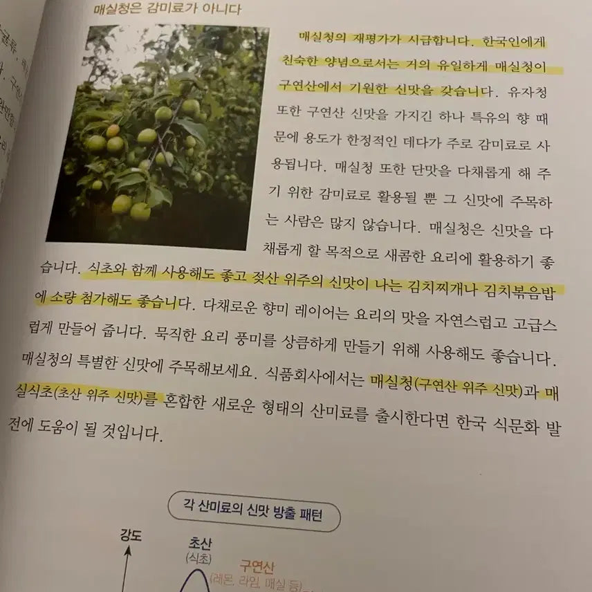 [BUNJANG] Taste Technology Old Edition Book / 맛의 기술 구판