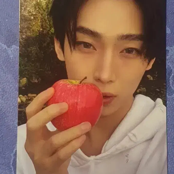 [BUNJANG] ENHYPEN Sunoo Photocard / 엔하이픈 선우 포카 판매