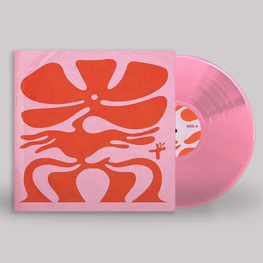[BUNJANG] Numcha Bloom Pink Color LP / Numcha - Bloom 핑크컬러 LP 한정판