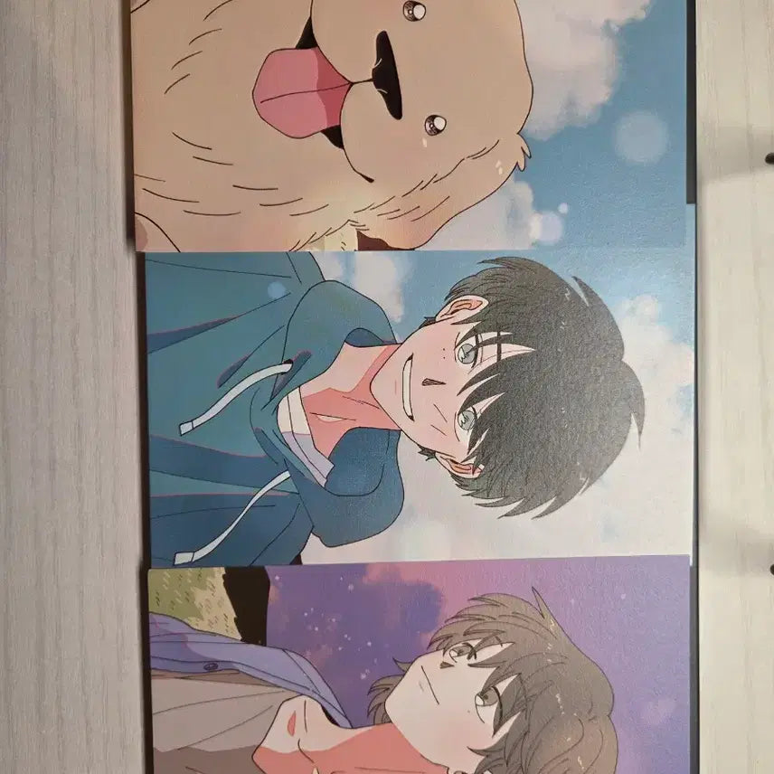 [BUNJANG] Soopsokui Dam Goods Set / 숲속의 담 펀딩 굿즈