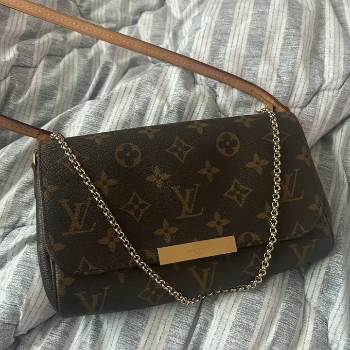 [BUNJANG] Louis Vuitton Favorite PM Handbag / 루이비통 페이보릿pm