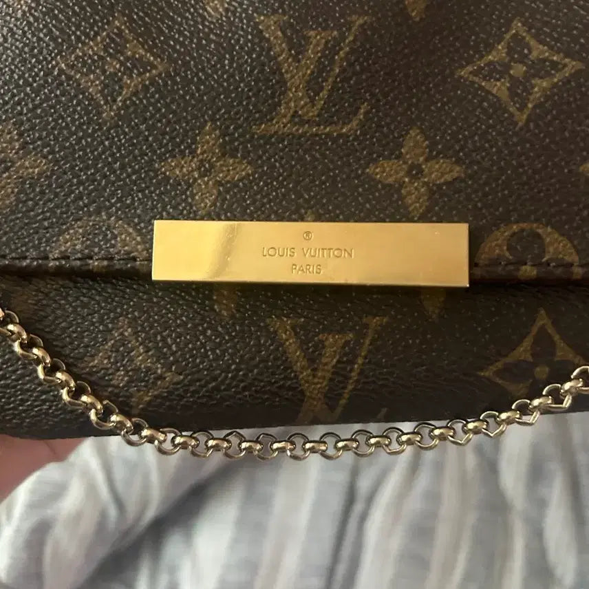 [BUNJANG] Louis Vuitton Favorite PM Handbag / 루이비통 페이보릿pm