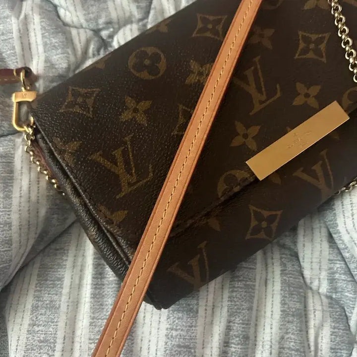 [BUNJANG] Louis Vuitton Favorite PM Handbag / 루이비통 페이보릿pm